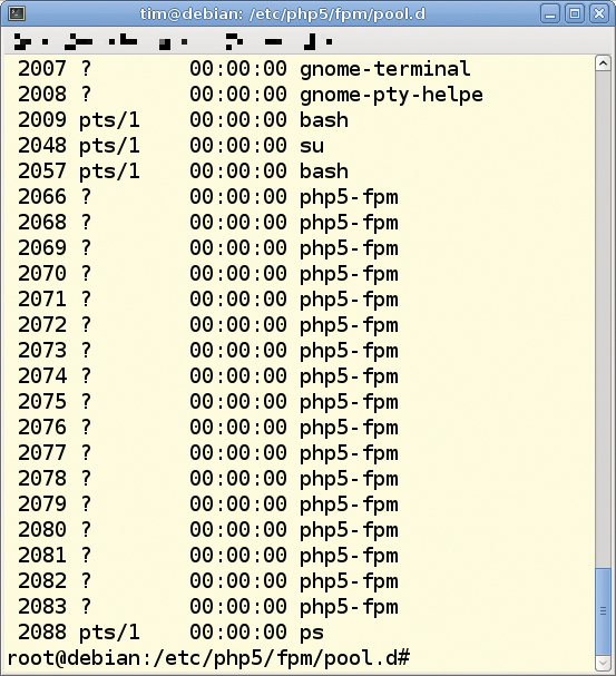 As specified in Listing 1, 17 PHP interpreter processes are running. As specified in Listing 1, 17 PHP interpreter processes are running.