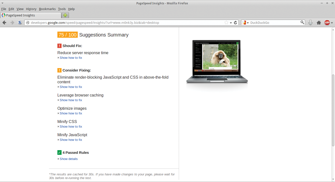 My Pre-optimized Google PageSpeed Insights site scores: desktop 75/100; mobile 62/100. My Pre-optimized Google PageSpeed Insights site scores: desktop 75/100; mobile 62/100.