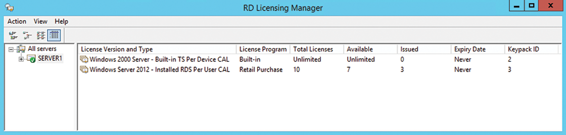 For Remote Desktop Services, you need to manage the licensing actively; otherwise, users cannot work with the system. For Remote Desktop Services, you need to manage the licensing actively; otherwise, users cannot work with the system.