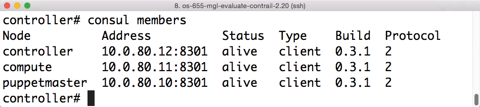 Everything is as it should be: This Consul cluster comprises three nodes that agree regarding their state. Everything is as it should be: This Consul cluster comprises three nodes that agree regarding their state.